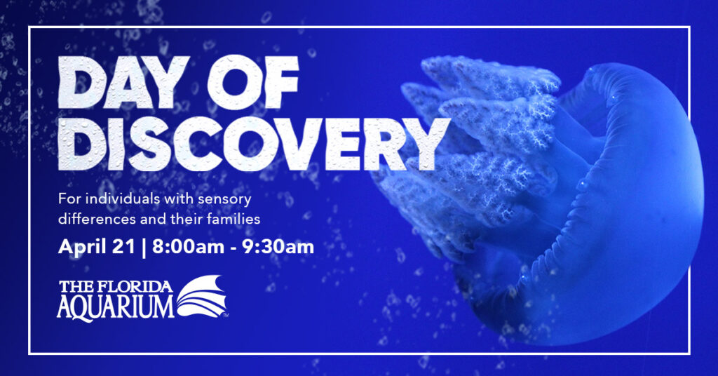 This graphic is for Day of Discovery