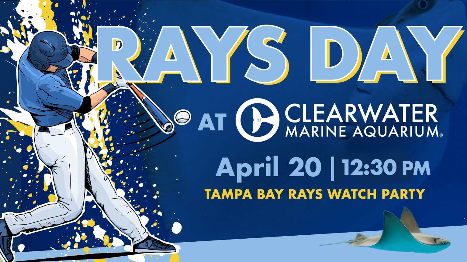 This graphic is for the Rays Day at Clearwater Marine Aquarium.