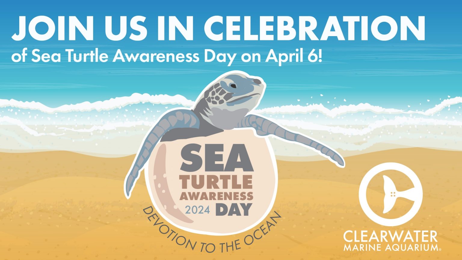 This graphic is for Sea Turtle Awareness Day.