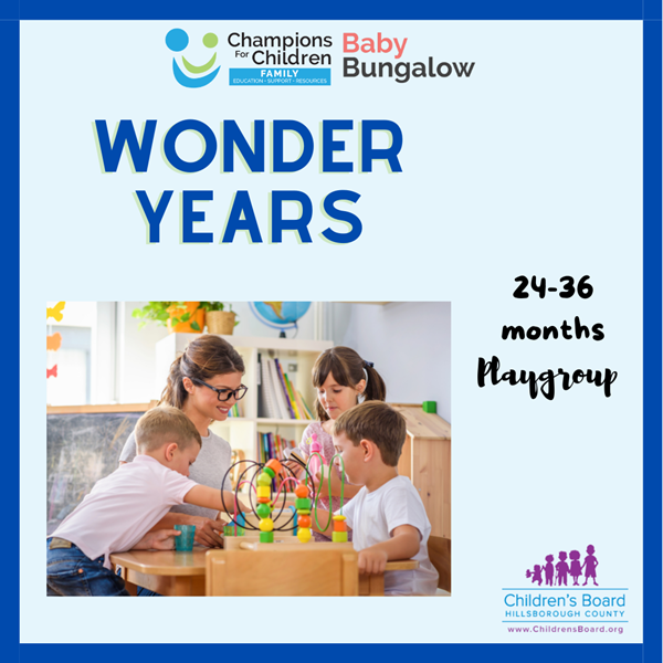 This graphic is for Wonder Years at Baby Bungalow.