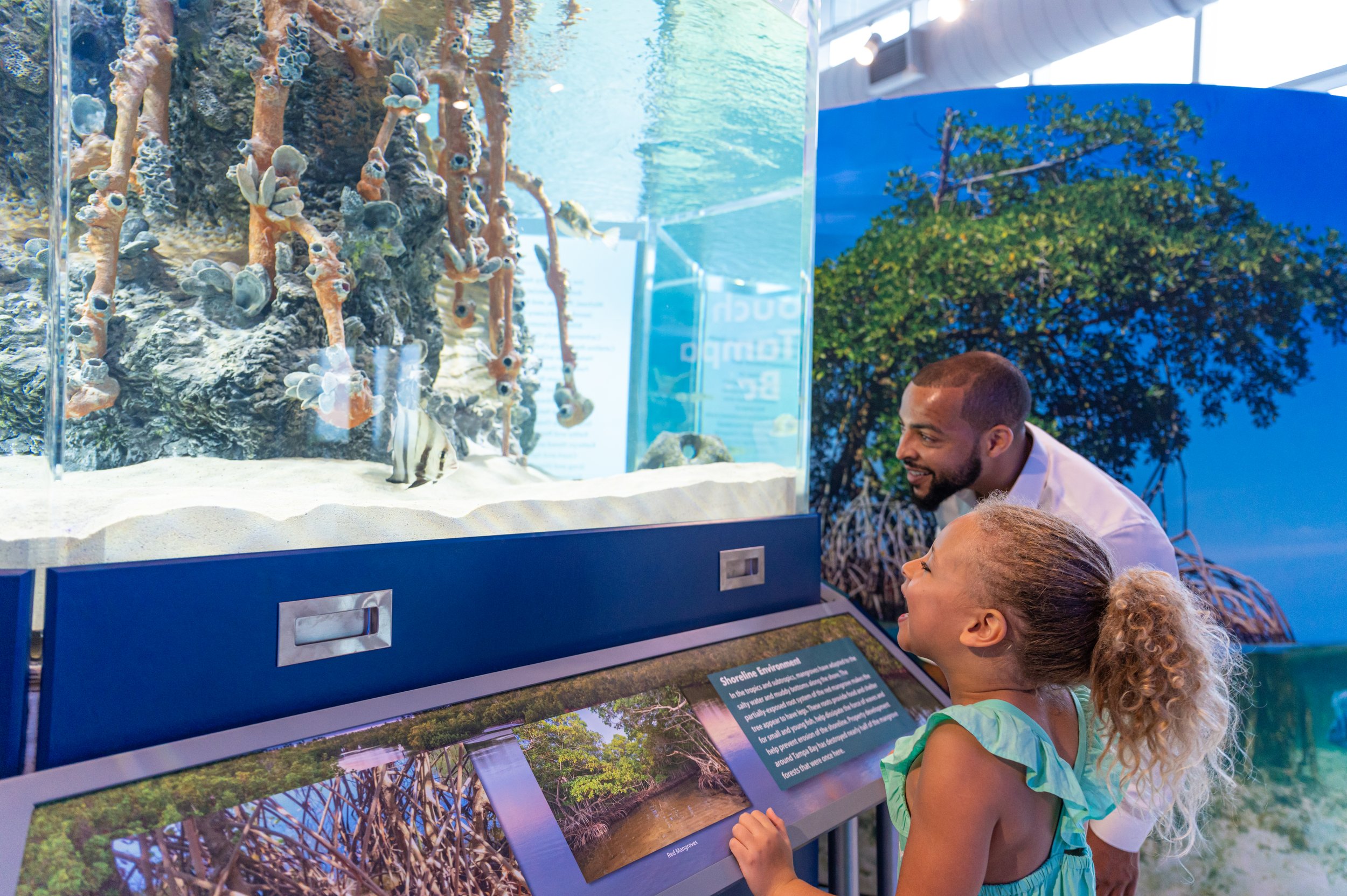 This is a photo from Tampa Bay Watch Discovery Center - Sensory Sunday