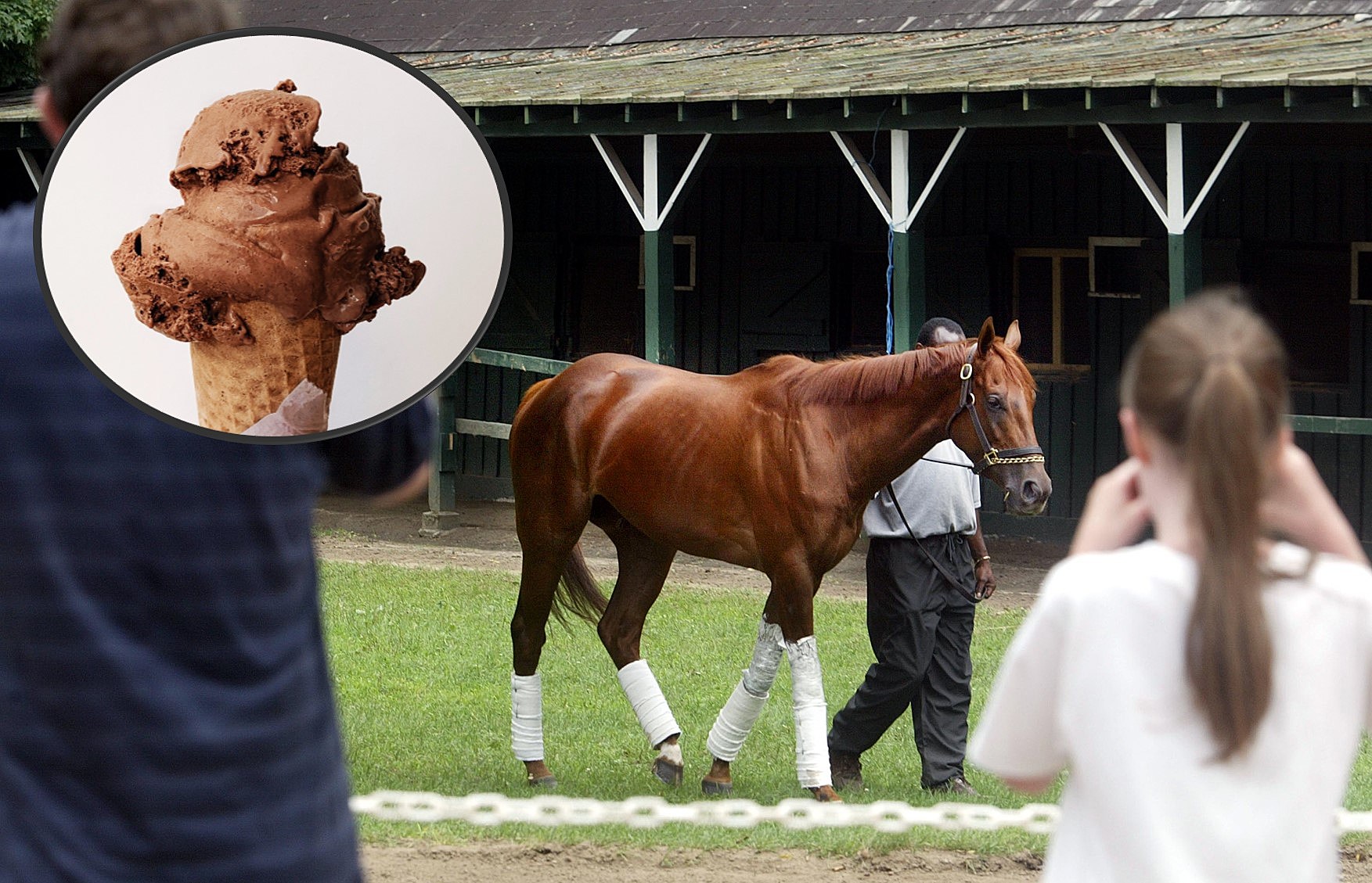 This graphic is an image of a girl looking at a horse. There is also a chocolate ice cream cone.